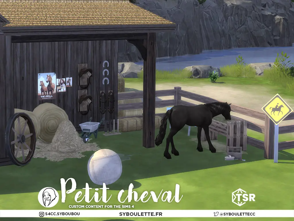 Набор для ранчо Petit cheval horse ranch